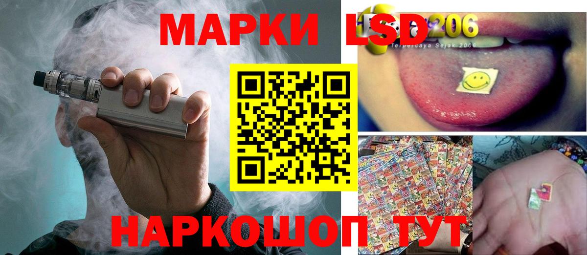 Лсд 25 экстази ecstasy  Вход с VPN  Камышлов  Лсд 25 экстази ecstasy 