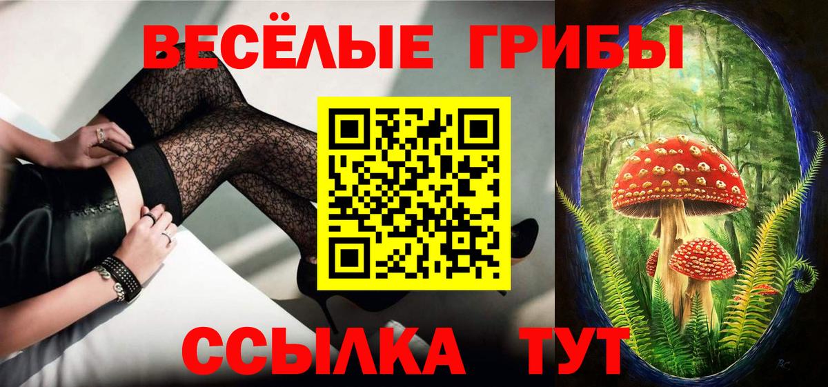 Кокаин Камышлов