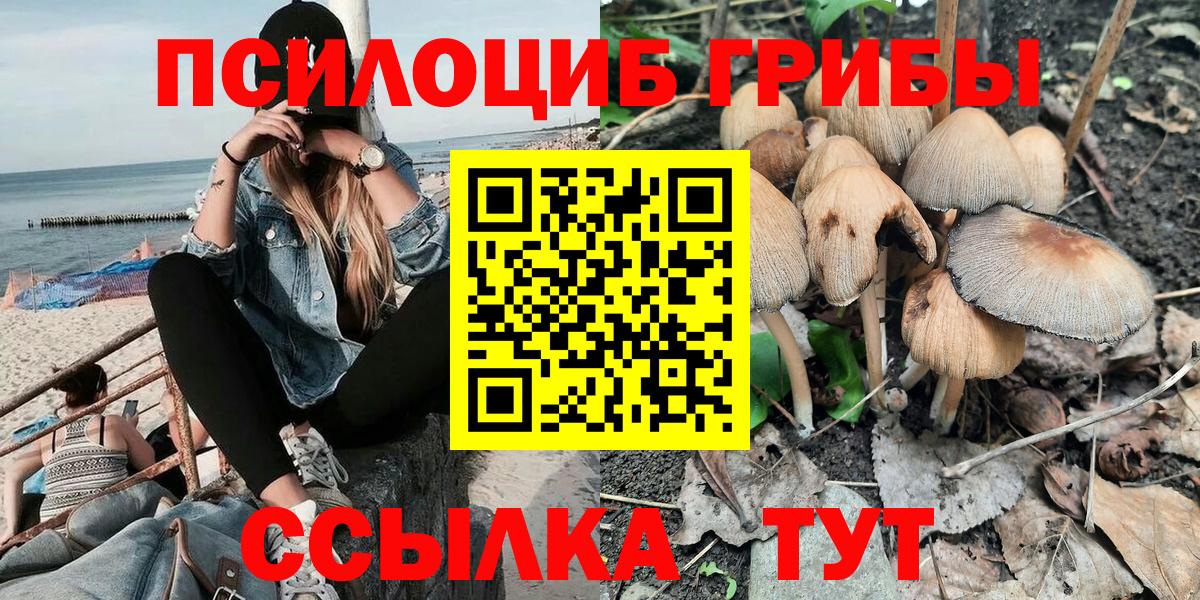 Галлюциногенные грибы Psilocybine cubensis Камышлов