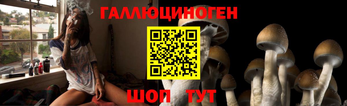 Камышлов  Галлюциногенные грибы ЛСД  Псилоцибиновые грибы прущие грибы  Вход с VPN 